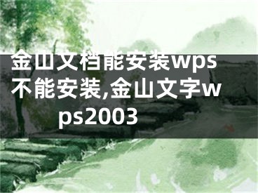 金山文檔能安裝wps不能安裝,金山文字wps2003