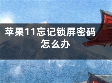 蘋果11忘記鎖屏密碼怎么辦