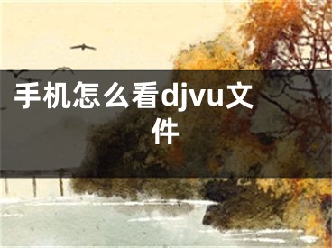 手機怎么看djvu文件