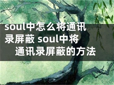 soul中怎么將通訊錄屏蔽 soul中將通訊錄屏蔽的方法