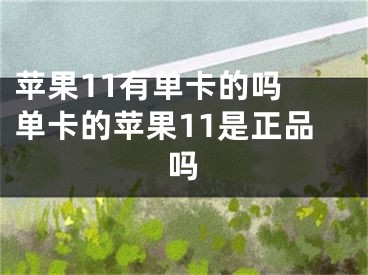 蘋果11有單卡的嗎 單卡的蘋果11是正品嗎