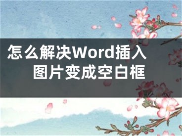 怎么解決Word插入圖片變成空白框