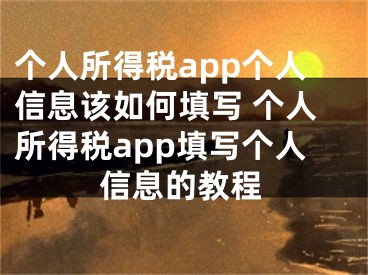 個(gè)人所得稅app個(gè)人信息該如何填寫 個(gè)人所得稅app填寫個(gè)人信息的教程