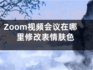 Zoom視頻會(huì)議在哪里修改表情膚色