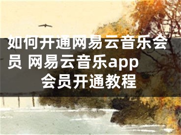 如何開(kāi)通網(wǎng)易云音樂(lè)會(huì)員 網(wǎng)易云音樂(lè)app會(huì)員開(kāi)通教程