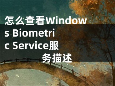 怎么查看Windows Biometric Service服務(wù)描述