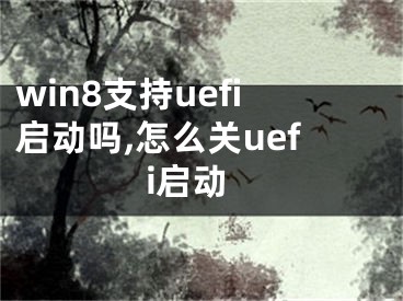 win8支持uefi啟動嗎,怎么關(guān)uefi啟動