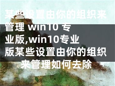 某些設置由你的組織來管理 win10 專業(yè)版,win10專業(yè)版某些設置由你的組織來管理如何去除