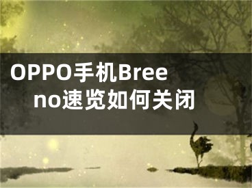 OPPO手機Breeno速覽如何關閉