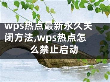 wps熱點最新永久關(guān)閉方法,wps熱點怎么禁止啟動