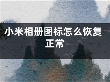 小米相冊(cè)圖標(biāo)怎么恢復(fù)正常