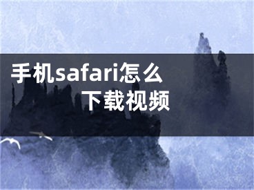 手機safari怎么下載視頻