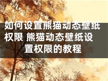 如何設(shè)置熊貓動態(tài)壁紙權(quán)限 熊貓動態(tài)壁紙設(shè)置權(quán)限的教程