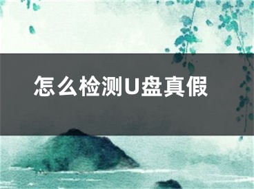 怎么檢測(cè)U盤(pán)真假