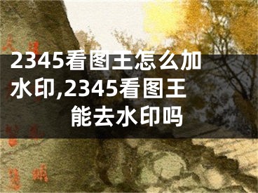 2345看圖王怎么加水印,2345看圖王能去水印嗎