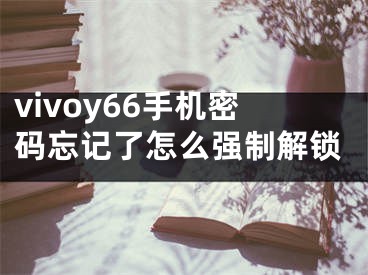 vivoy66手機(jī)密碼忘記了怎么強(qiáng)制解鎖