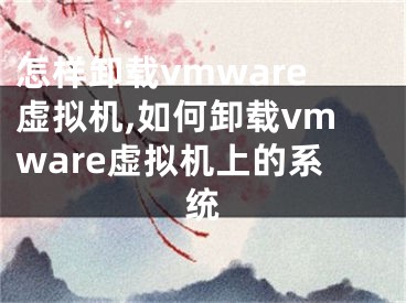 怎樣卸載vmware虛擬機(jī),如何卸載vmware虛擬機(jī)上的系統(tǒng)