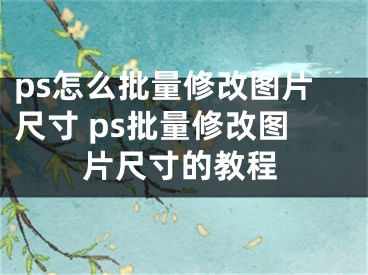 ps怎么批量修改圖片尺寸 ps批量修改圖片尺寸的教程