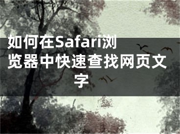 如何在Safari瀏覽器中快速查找網(wǎng)頁(yè)文字 