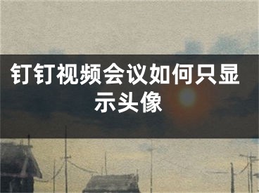 釘釘視頻會(huì)議如何只顯示頭像