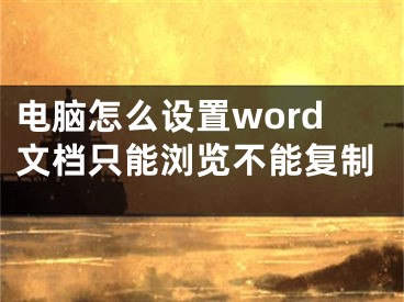 電腦怎么設(shè)置word文檔只能瀏覽不能復制