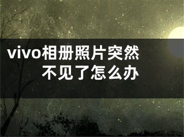 vivo相冊照片突然不見了怎么辦