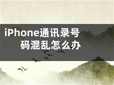 iPhone通訊錄號(hào)碼混亂怎么辦 