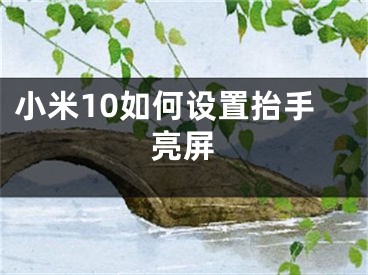 小米10如何設(shè)置抬手亮屏