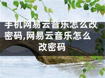 手機(jī)網(wǎng)易云音樂怎么改密碼,網(wǎng)易云音樂怎么改密碼