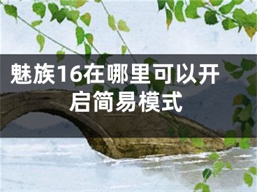 魅族16在哪里可以開啟簡易模式