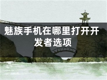 魅族手機(jī)在哪里打開開發(fā)者選項(xiàng)