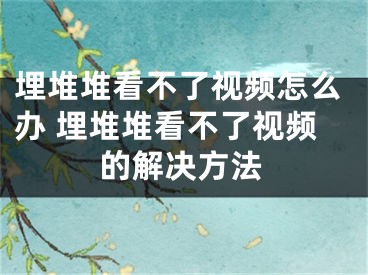 埋堆堆看不了視頻怎么辦 埋堆堆看不了視頻的解決方法