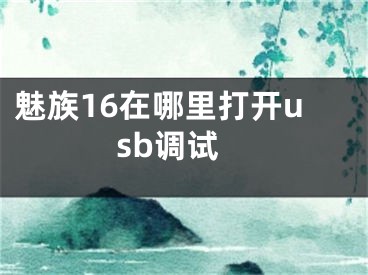 魅族16在哪里打開usb調(diào)試