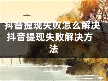 抖音提現(xiàn)失敗怎么解決 抖音提現(xiàn)失敗解決方法