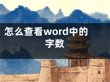 怎么查看word中的字?jǐn)?shù)