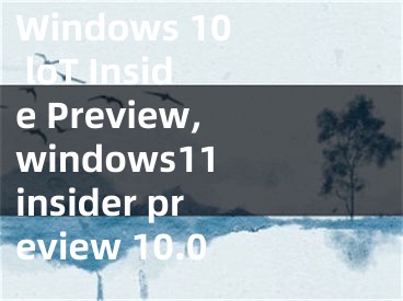 Windows 10 loT Inside Preview,windows11 insider preview 10.0