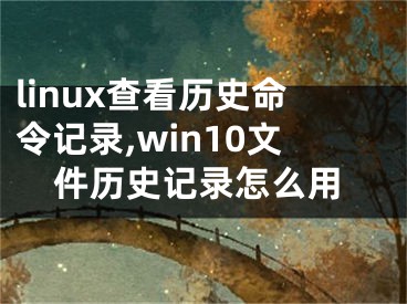 linux查看歷史命令記錄,win10文件歷史記錄怎么用