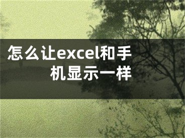 怎么讓excel和手機(jī)顯示一樣