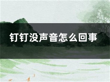 釘釘沒聲音怎么回事