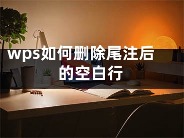 wps如何刪除尾注后的空白行