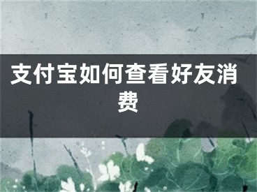 支付寶如何查看好友消費