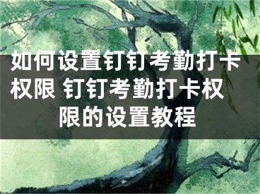 如何設(shè)置釘釘考勤打卡權(quán)限 釘釘考勤打卡權(quán)限的設(shè)置教程