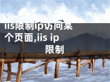 iis限制ip訪問某個頁面,iis ip限制