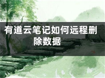 有道云筆記如何遠(yuǎn)程刪除數(shù)據(jù) 