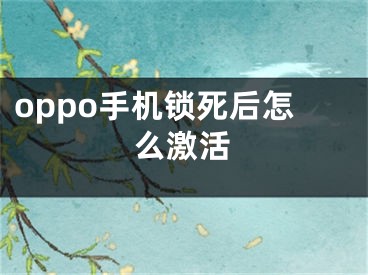 oppo手機鎖死后怎么激活