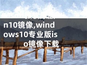 Msdn微軟原版Win10鏡像,windows10專業(yè)版iso鏡像下載