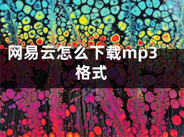 網(wǎng)易云怎么下載mp3格式