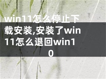 win11怎么停止下載安裝,安裝了win11怎么退回win10