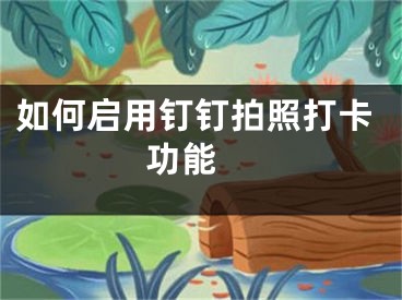 如何啟用釘釘拍照打卡功能 