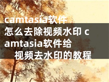 camtasia軟件怎么去除視頻水印 camtasia軟件給視頻去水印的教程